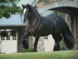 Opps!  Mia needs to head on over to the Weight Watcher's pasture.