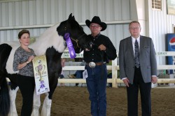 April with her Supreme Championship, Marvin and Robin